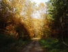 db_051029__00121