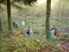 db_051029__00231