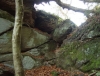 db_051029__00241