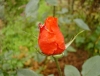 db_061028__00331