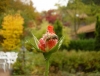 db_061028__00361