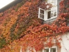 db_061028__00981