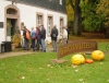 db_061028__00991
